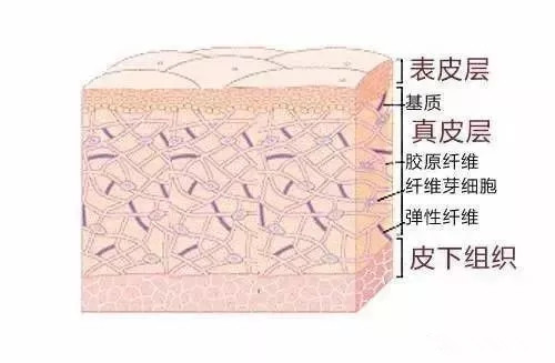 640.webp (1).jpg