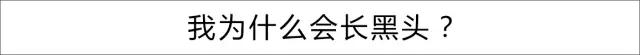 微信图片_20180409110003.jpg