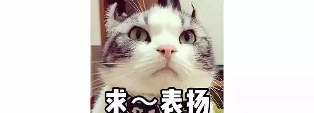 微信图片_20180417112503.jpg