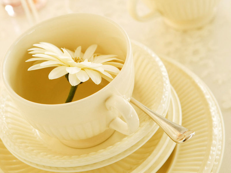 花茶物语 排毒养颜